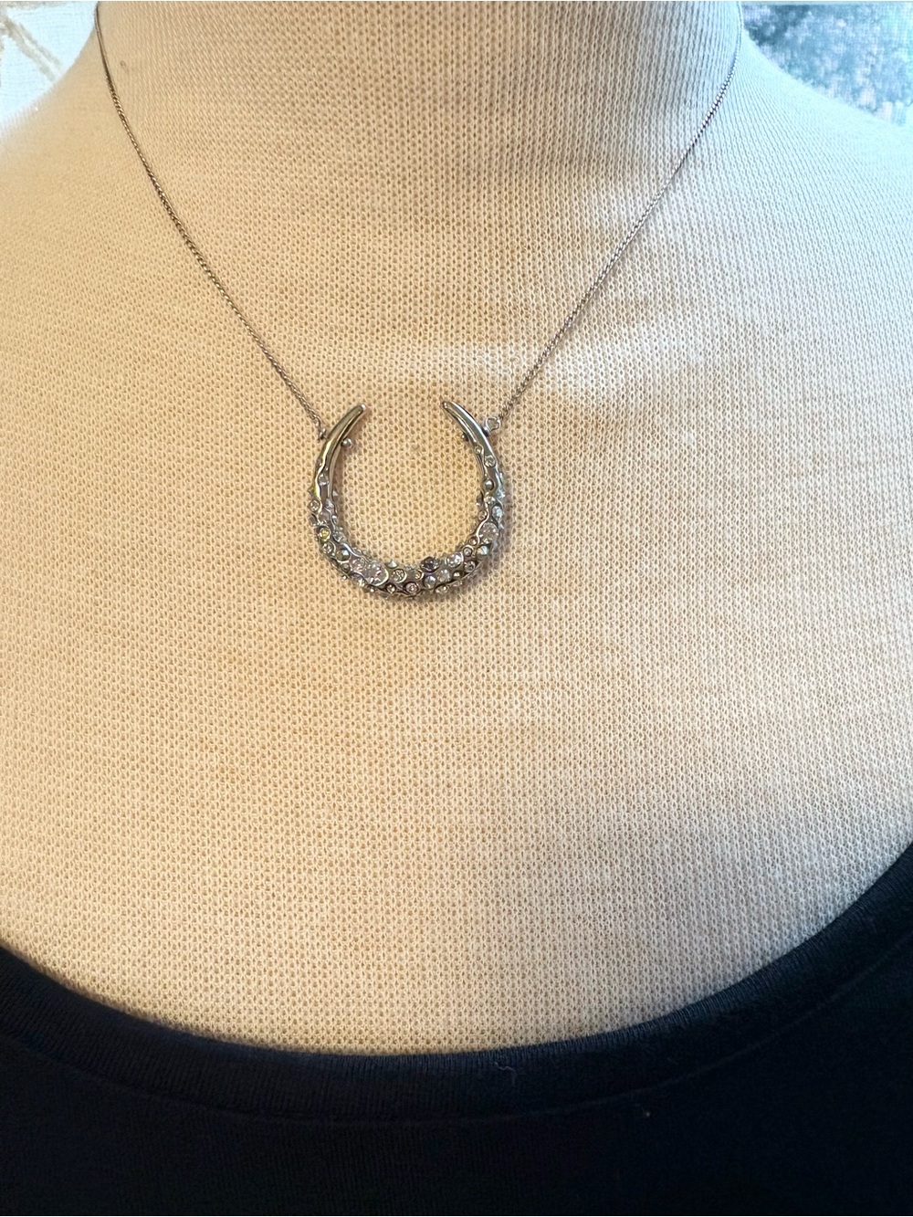 Alexis Bittar Silver Horseshoe Crystal Pendant Necklace